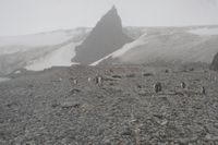 
DSC00188